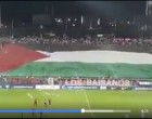 [Vidéo] | Regardez comment les Chiliens soutiennent la Palestine