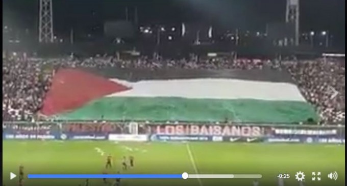 [Vidéo] | Regardez comment les Chiliens soutiennent la Palestine