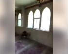 Regardez les maudits soldats saoudiens insultent une mosquée chiite et célèbrent sa prise dans la ville d’Al Awamiyah..