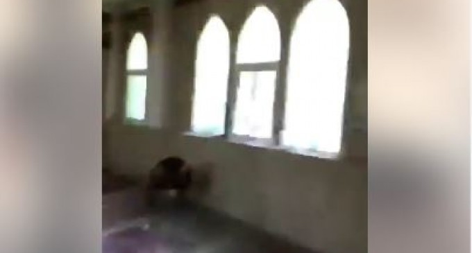 Regardez les maudits soldats saoudiens insultent une mosquée chiite et célèbrent sa prise dans la ville d’Al Awamiyah..