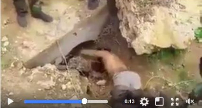 Regardez comment les « Lions du califat » alias les rats sont sortis des égouts par les troupes irakiennes