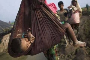 Au cours des 10 derniers jours, près de 300 000 réfugiés Rohingyas ont fuient au Bangladesh pour protéger leur vie du génocide qui se produit en Birmanie1