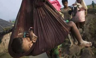 Au cours des 10 derniers jours, près de 300 000 réfugiés Rohingyas ont fuient au Bangladesh pour protéger leur vie du génocide qui se produit en Birmanie