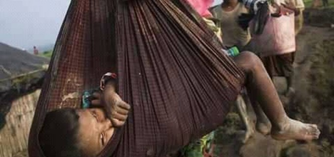Au cours des 10 derniers jours, près de 300 000 réfugiés Rohingyas ont fuient au Bangladesh pour protéger leur vie du génocide qui se produit en Birmanie