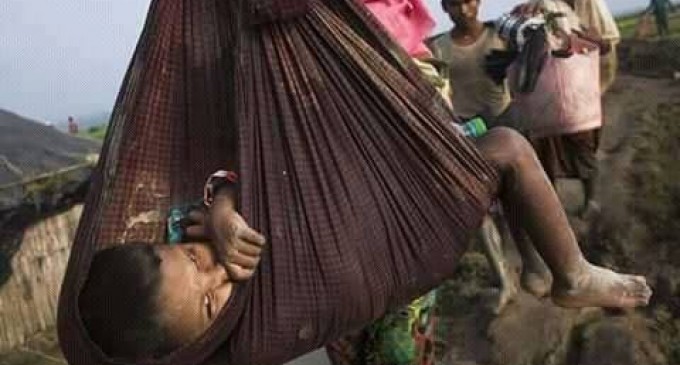 Au cours des 10 derniers jours, près de 300 000 réfugiés Rohingyas ont fuient au Bangladesh pour protéger leur vie du génocide qui se produit en Birmanie