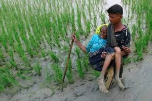 Au cours des 10 derniers jours, près de 300 000 réfugiés Rohingyas ont fuient au Bangladesh pour protéger leur vie du génocide qui se produit en Birmanie3