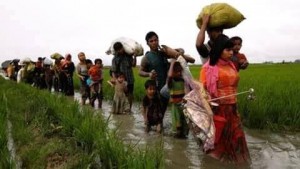 Au cours des 10 derniers jours, près de 300 000 réfugiés Rohingyas ont fuient au Bangladesh pour protéger leur vie du génocide qui se produit en Birmanie4