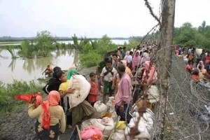 Au cours des 10 derniers jours, près de 300 000 réfugiés Rohingyas ont fuient au Bangladesh pour protéger leur vie du génocide qui se produit en Birmanie5