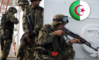L’Armée algérienne arrête l’un des plus dangereux terroristes du pays
