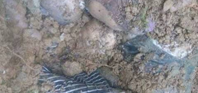 (-18) La Birmanie a brutalement assassiné ces enfants Rohingyas et leur seule faute est qu’ils sont musulmans et non pas bouddhistes