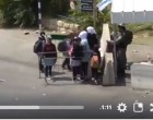 [Vidéo] | Le calvaire des enfants palestiniens pour se rendre à l’école