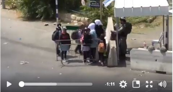 [Vidéo] | Le calvaire des enfants palestiniens pour se rendre à l&rsquo;école