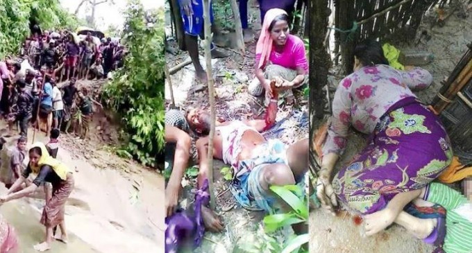 NO COMMENT! Le génocide des Rohingyas