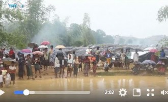 [Vidéo] | Le quotidien des Rohingyas dans les camps de réfugiés au Bangladesh