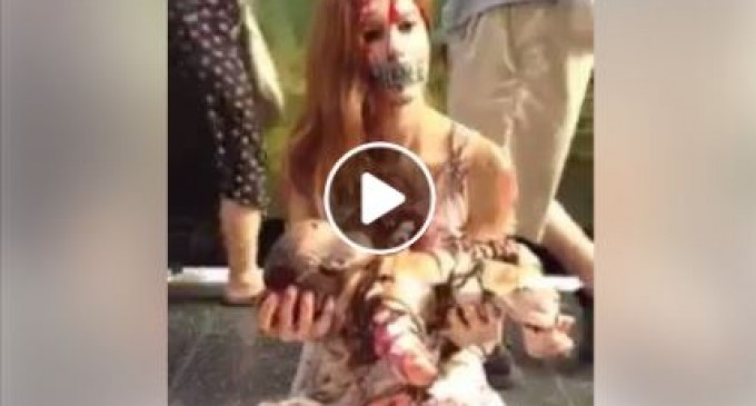 Les militants occidentaux sont plus préoccupés par la Palestine que l&rsquo;ensemble des rois arabes du Golfe