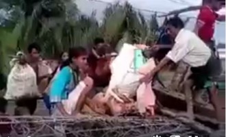 [Vidéo] | Les musulmans Rohingyas marchent pieds nus sur des barbelés pour échapper aux escadrons de la mort birman
