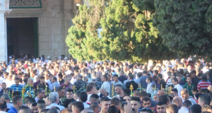 Photos de la prière de l’Aïd dans la mosquée bénie d’al-Aqsa !