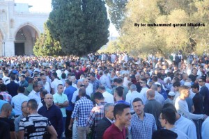 Photos de la prière de l'Aïd dans la mosquée bénie d'al-Aqsa !2