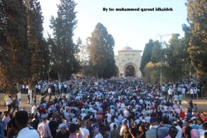 Photos de la prière de l'Aïd dans la mosquée bénie d'al-Aqsa !3