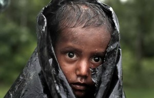 Qu'est-ce qui a causé toute cette injustice contre les musulmans Rohingyas 14