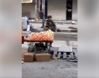 VRAIMENT PITOYABLE : Un soldat de l&rsquo;occupation israélienne vole des fruits à un palestinien lors des affrontements à Al Khalil.