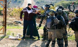 Une jeune palestinienne courageuse se tient face aux soldats israéliens, essayant de les empêcher d’arrêter son frère
