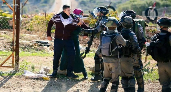 Une jeune palestinienne courageuse se tient face aux soldats israéliens, essayant de les empêcher d’arrêter son frère