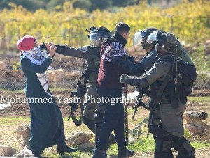 Une jeune palestinienne courageuse se tient face aux soldats israéliens, essayant de les empêcher d'arrêter son frère.3