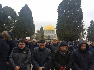 25 000 fidèles accomplissent la Prière du Vendredi dans la mosquée d'Al-Aqsa à Jérusalem occupée1