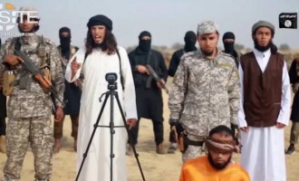 Daesh exécute un membre du Hamas dans le Sinaï