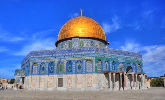 La Palestine est le centre des préoccupations de tout le monde !