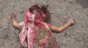14 civils pour la plupart des femmes et des enfants tués lors d’un raid aérien de la coalition arabo-US4