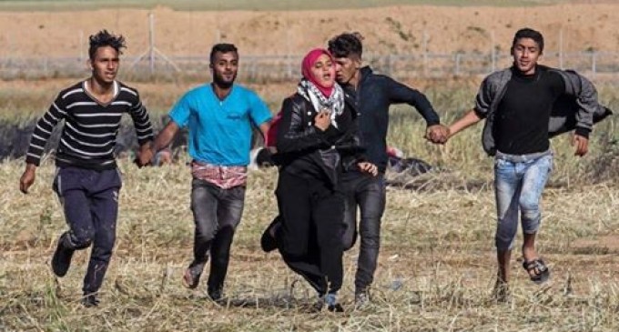 Incroyable photo de 4 Lions Palestiniens qui ont courageusement protégé cette jeune femme qui s’enfuit des tirs de balles des soldats de l’occupation
