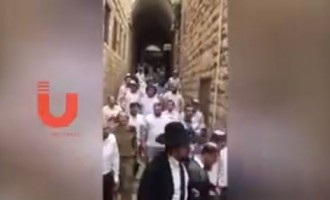 En vidéo : Des centaines de colons profanent et souillent la mosquée Al-Aqsa dans la ville sainte d’Qods