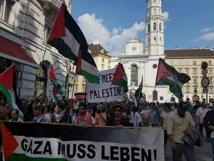 Les manifestants pro-Palestiniens se rallient à vienne, en Autriche, pour soutenir la bande de Gaza.1
