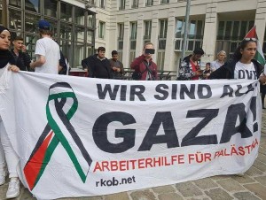 Les manifestants pro-Palestiniens se rallient à vienne, en Autriche, pour soutenir la bande de Gaza.4