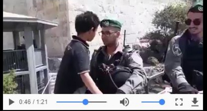 Regardez ce brave petit garçon palestinien qui insiste pour traverser le poste de contrôle israélien dans la mosquée d&rsquo;Al-Aqsa !