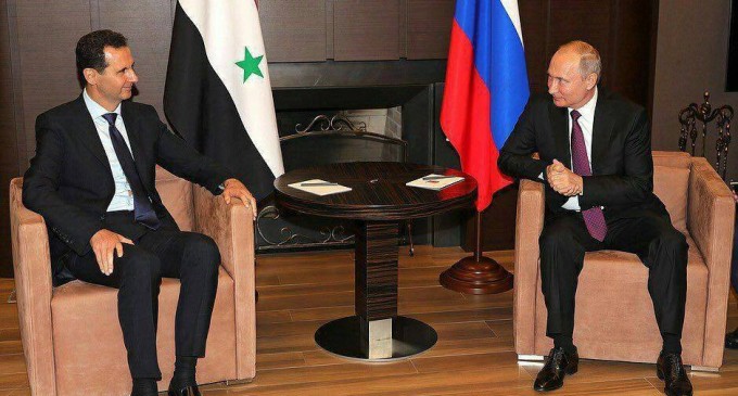 C’est un lion comme son nom l’indique