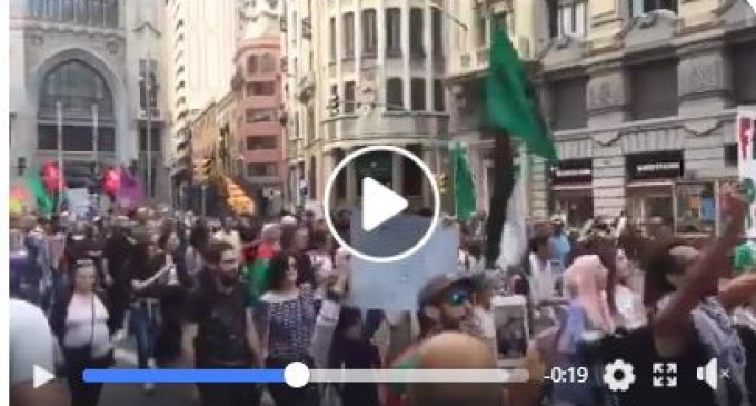 Les espagnoles scandent : « Free Free Palestine »