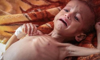 Depuis 2015, la coalition saoudienne a tué et blessé plus de 35 279 personnes au Yémen