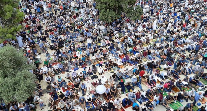 Des milliers de Palestiniens accomplissent les prières du vendredi dans la mosquée d’Al-Aqsa à Jérusalem occupée, Vendredi