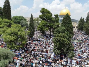 Des milliers de Palestiniens accomplissent les prières du vendredi dans la mosquée d'Al-Aqsa à Jérusalem occupée, Vendredi2