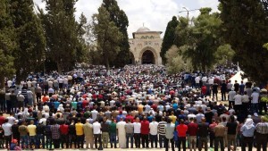 Des milliers de Palestiniens accomplissent les prières du vendredi dans la mosquée d'Al-Aqsa à Jérusalem occupée, Vendredi3