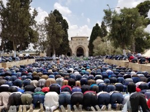 Des milliers de Palestiniens accomplissent les prières du vendredi dans la mosquée d'Al-Aqsa à Jérusalem occupée, Vendredi4