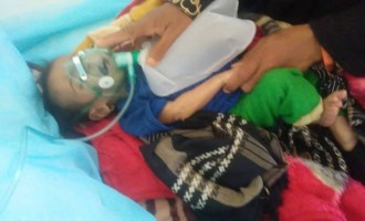 Shemookh est décédée. Elle était malade et très affamée