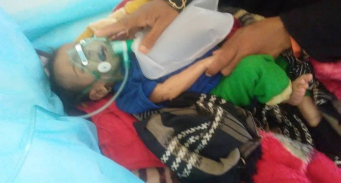 Shemookh est décédée. Elle était malade et très affamée