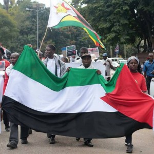 le Zimbabwe soutient la Palestine.2