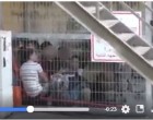 Regardez comment le régime israélien enferme les enfants palestiniens dans des cages