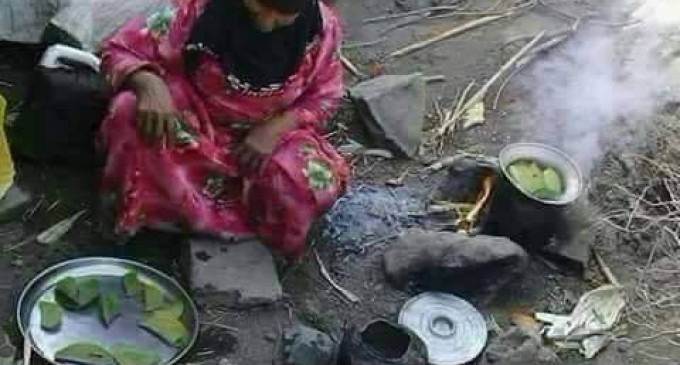 L’IMAGE DU JOUR : Cette femme yéménite et sa famille mangent des feuilles d’arbre comme repas quotidien pour survivre.