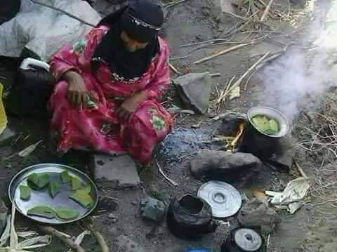 Cette femme yéménite et sa famille mangent des feuilles d'arbre comme repas quotidien pour survivre.